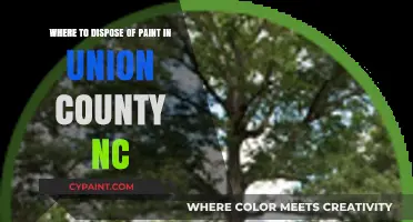Eco-Friendly Paint Disposal Options in Union County, NC