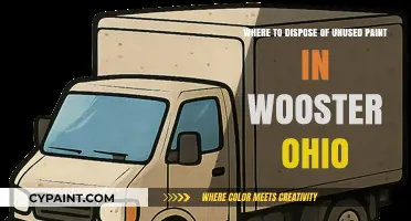 Eco-Friendly Paint Disposal Options in Wooster, Ohio: A Guide