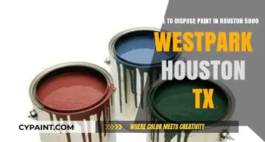 Eco-Friendly Paint Disposal Options in Houston: A Comprehensive Guide