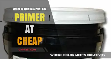Affordable 5-Gallon Paint and Primer Deals: Where to Shop