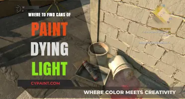 Reviving Radiance: Where to Find Cans of Paint in Dying Light
