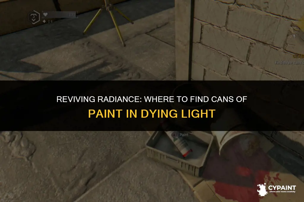 where to find cans of paint dying light