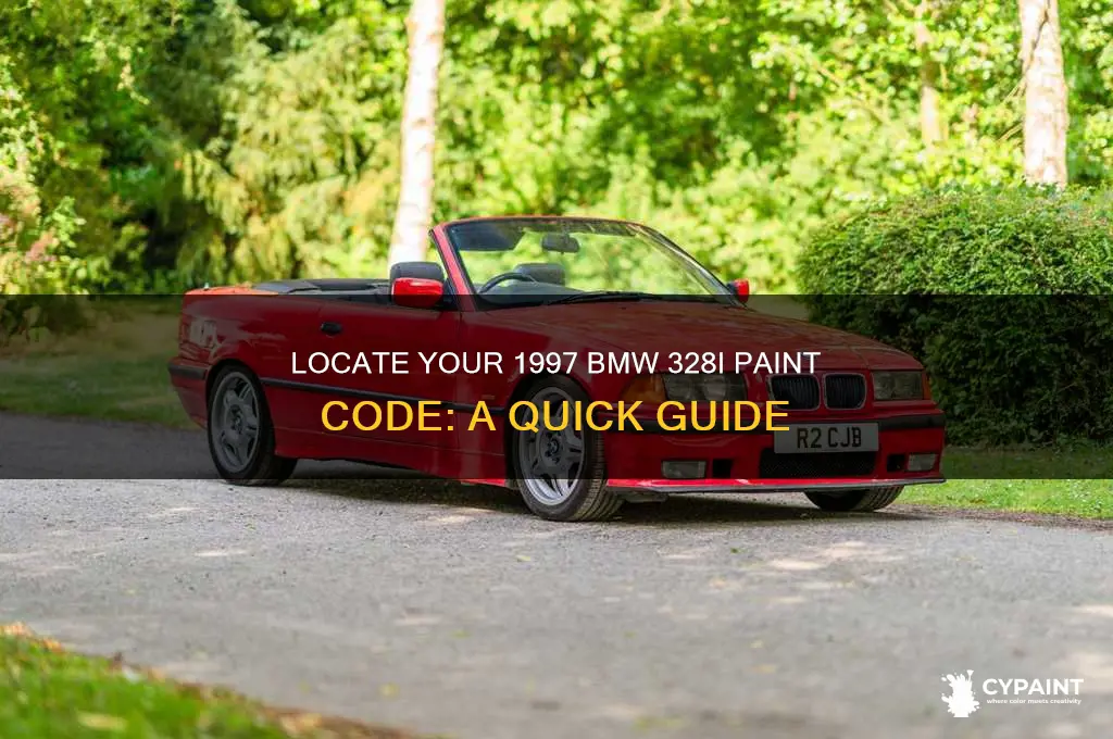where to find paint code for 1997 bmw 328i