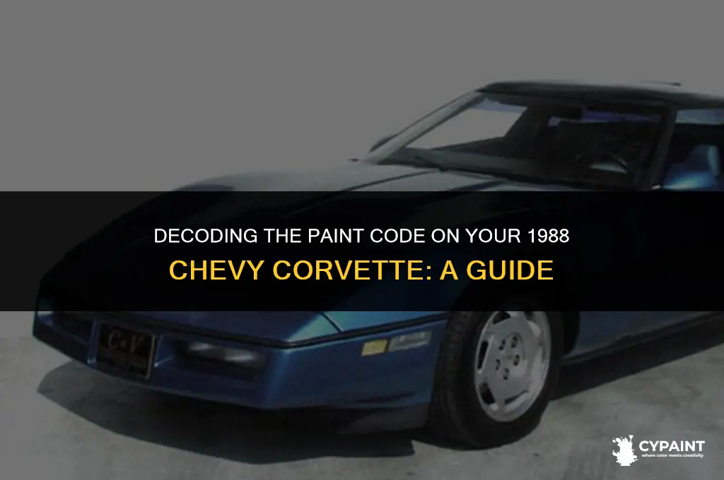 where to find paint code number on 1988 chevy corvette