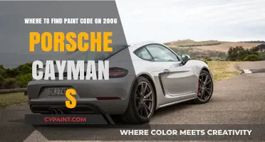 Decoding the Paint Code Mystery: 2006 Porsche Cayman S Edition
