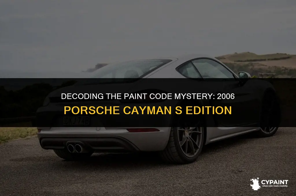 where to find paint code on 2006 porsche cayman s