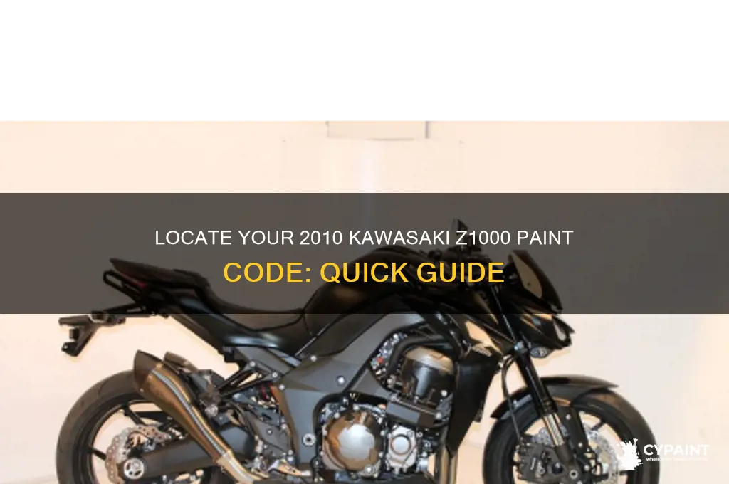where to find paint code on 2010 kawasaki z1000