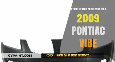 Decoding the Paint Code Mystery: A 2009 Pontiac Vibe Guide