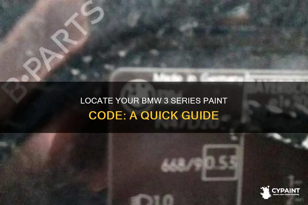 Where To Find Bmw Paint Codenull
