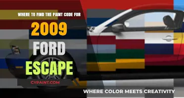 Decoding the Perfect Paint Match for Your 2009 Ford Escape