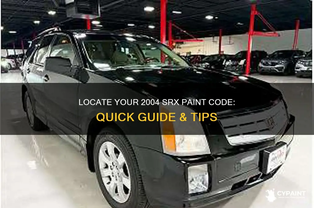 where to find the paint code on 2004 srx