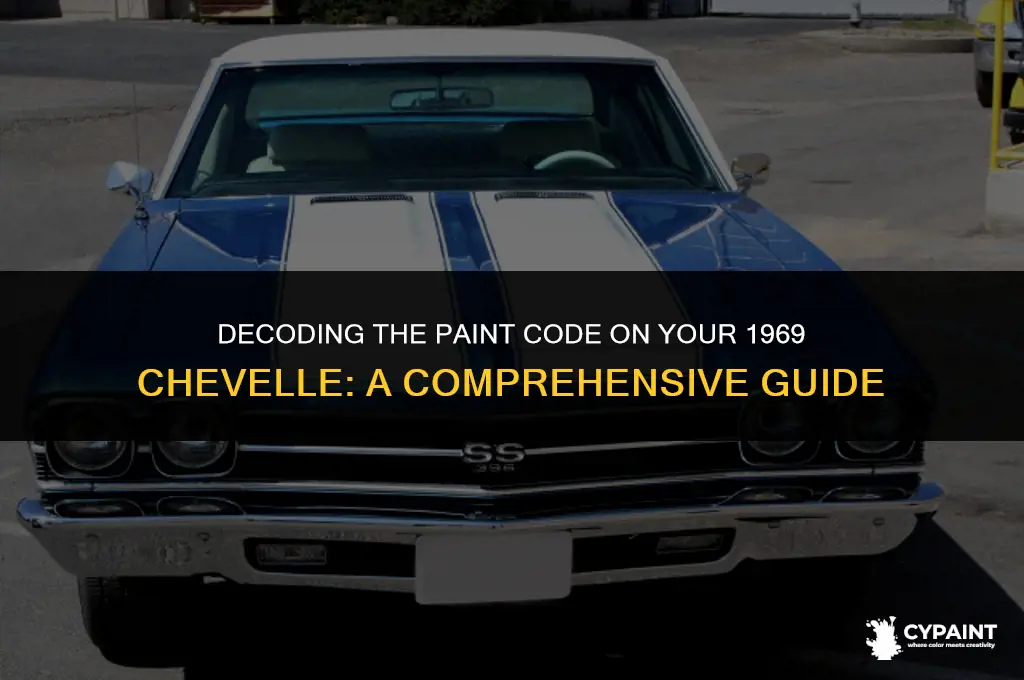 where to find the paint code on a 69 chevelle