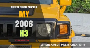 Decoding Your 2006 H3's Paint ID: A Step-by-Step Guide
