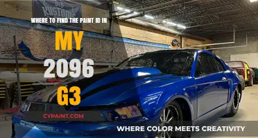 Decoding Your Car's Paint ID: A Guide for 2096 G3 Owners