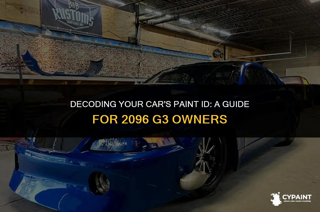 where to find the paint id in my 2096 g3