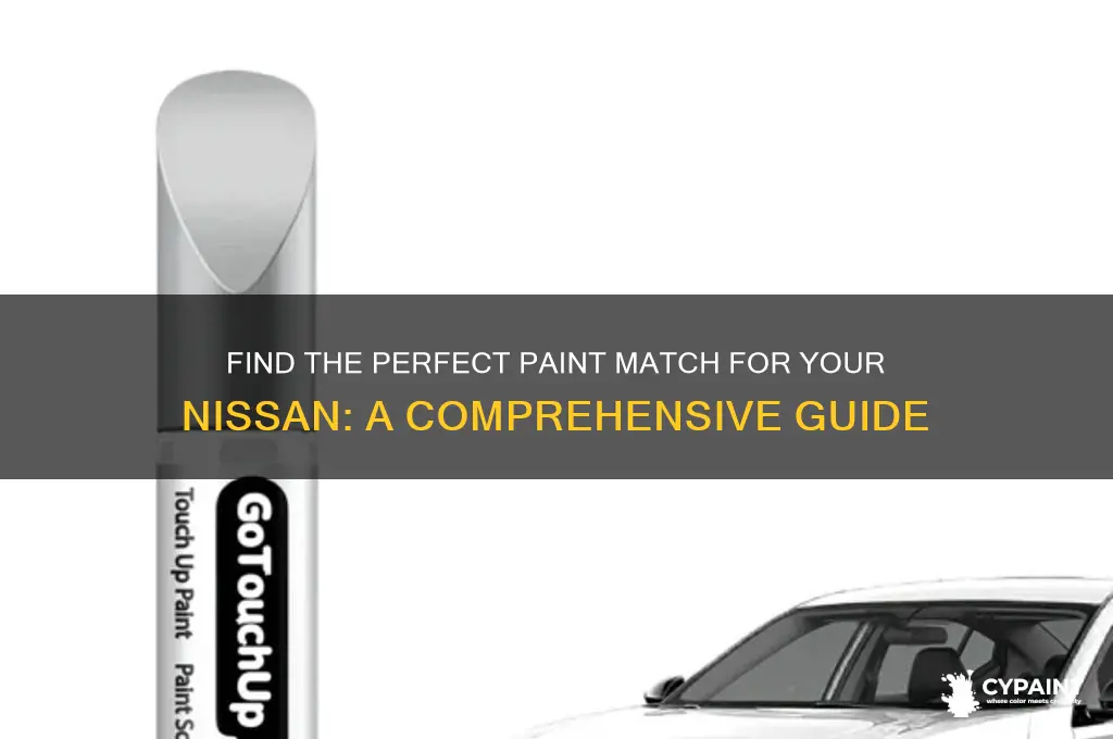 where to find the paint match for my nissan