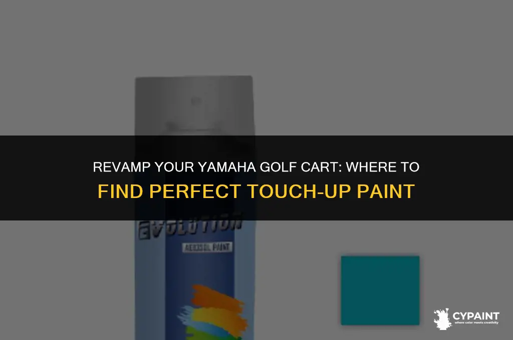 where to find touch up paint for yamaha golf cart