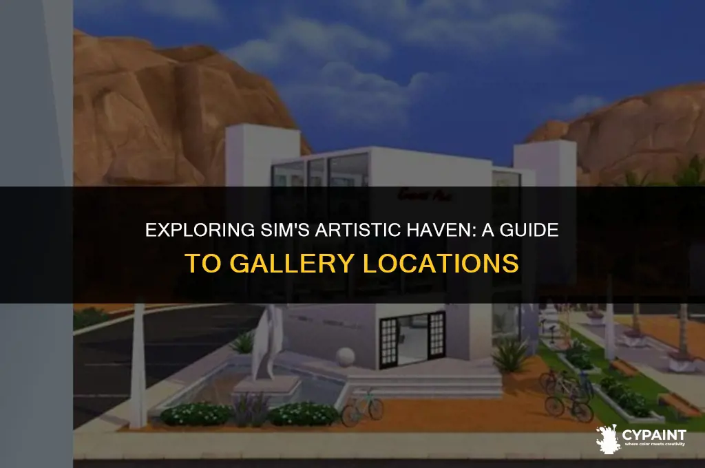 where to go to see a sim