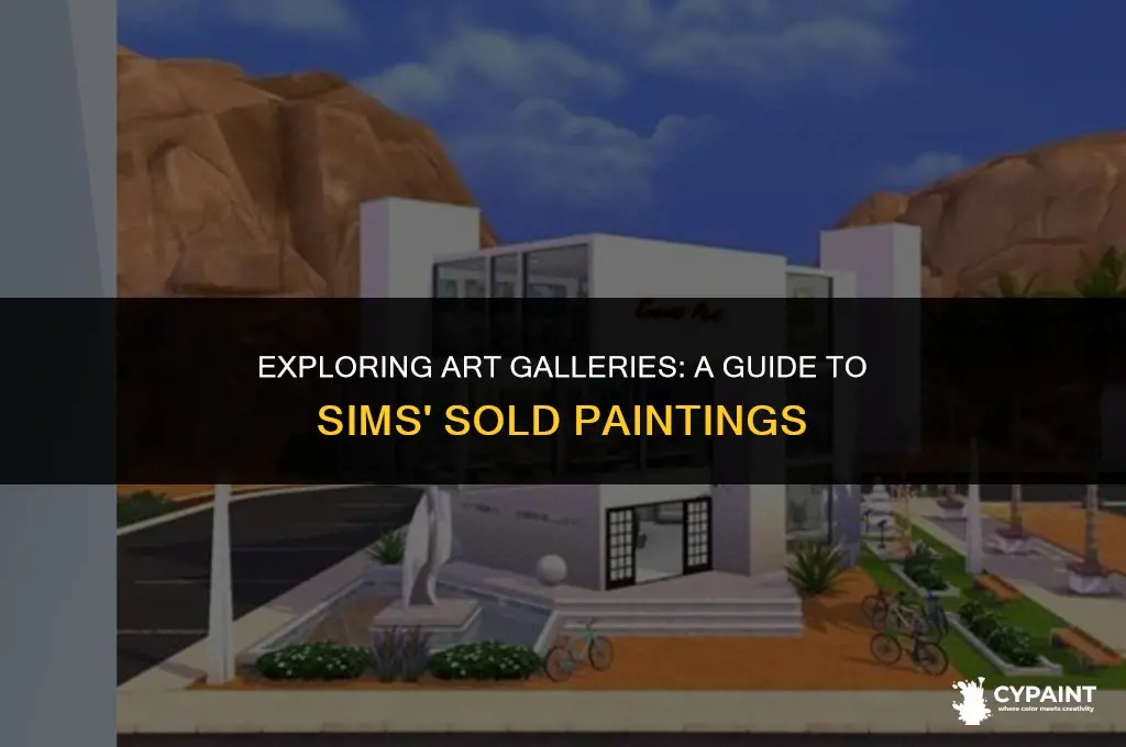 where to go to see a sim