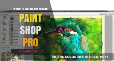 Installing 8BF Files in PaintShop Pro: Correct Folder Location Guide