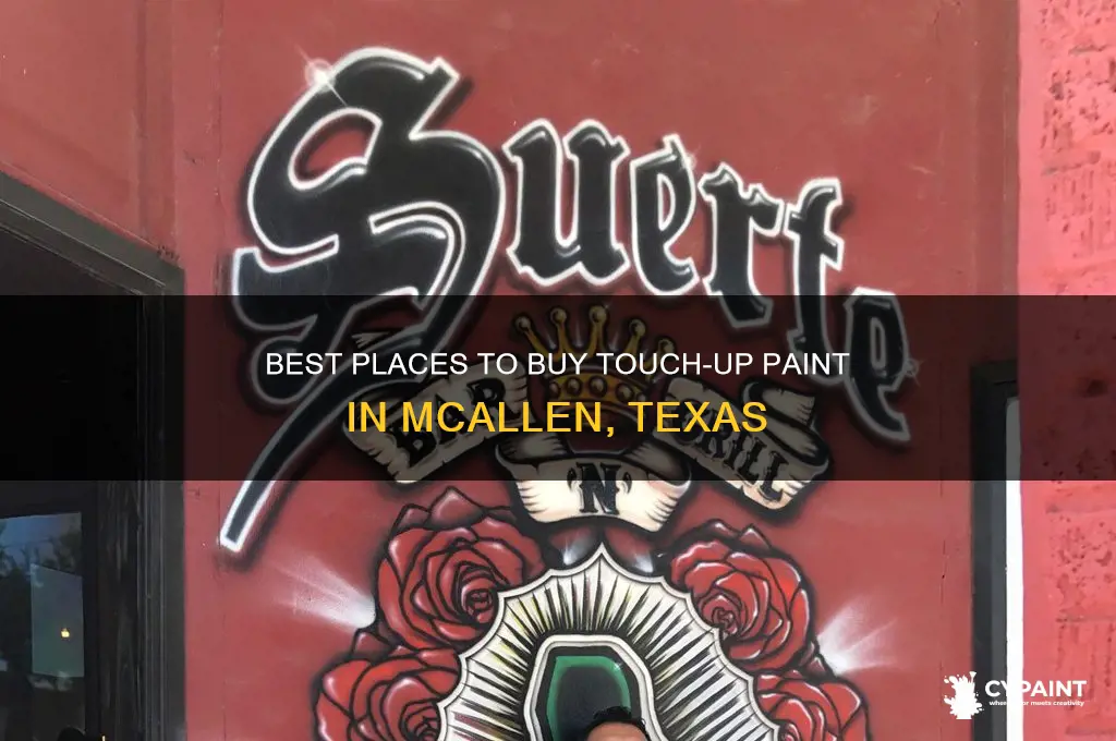 where to pourchase touh up paint in mcallen texas