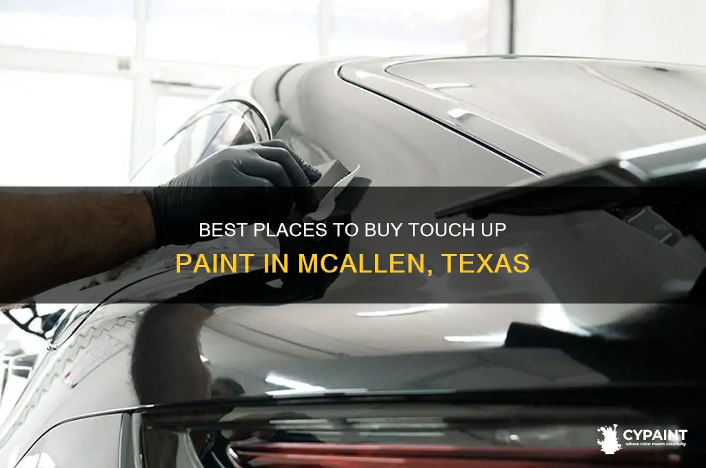 where to purchase touch up paint in mcallen texas