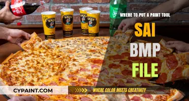 Where to Save Paint Tool SAI BMP Files for Easy Access