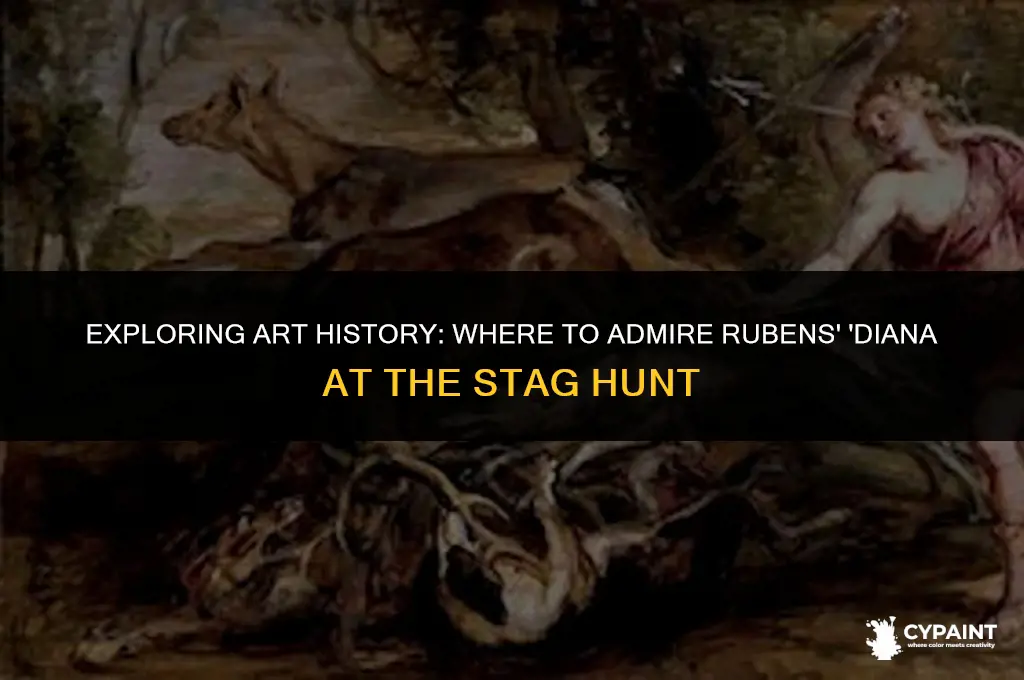 where to see ruben