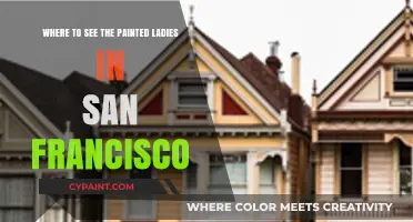 Discover San Francisco's Iconic Painted Ladies: Top Spots to Visit