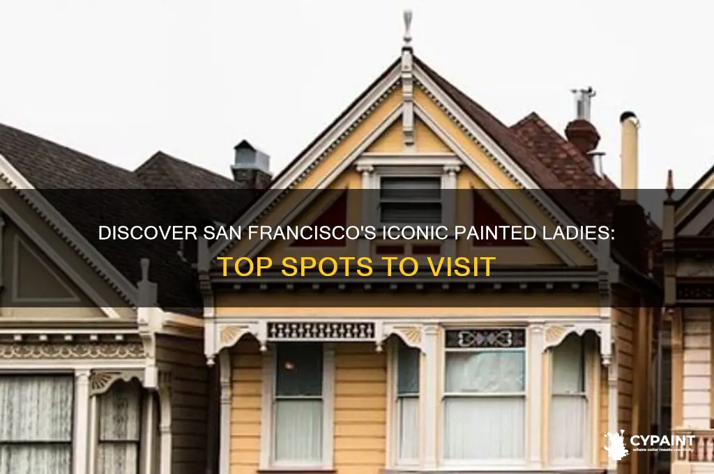 where to see the painted ladies in san francisco