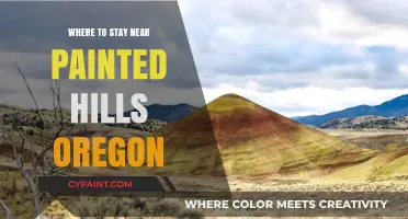 Discover the Best Lodging Near Painted Hills, Oregon: Top Picks
