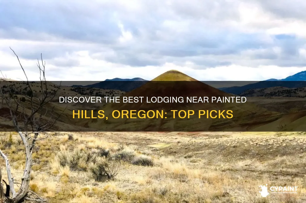 where to stay near painted hills oregon