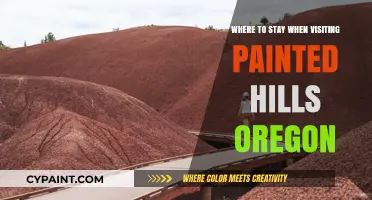 Discover the Best Lodging Near Painted Hills, Oregon: A Travel Guide
