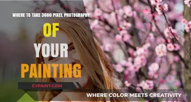 Best Locations for Capturing 3600 Pixel Photography of Your Artwork