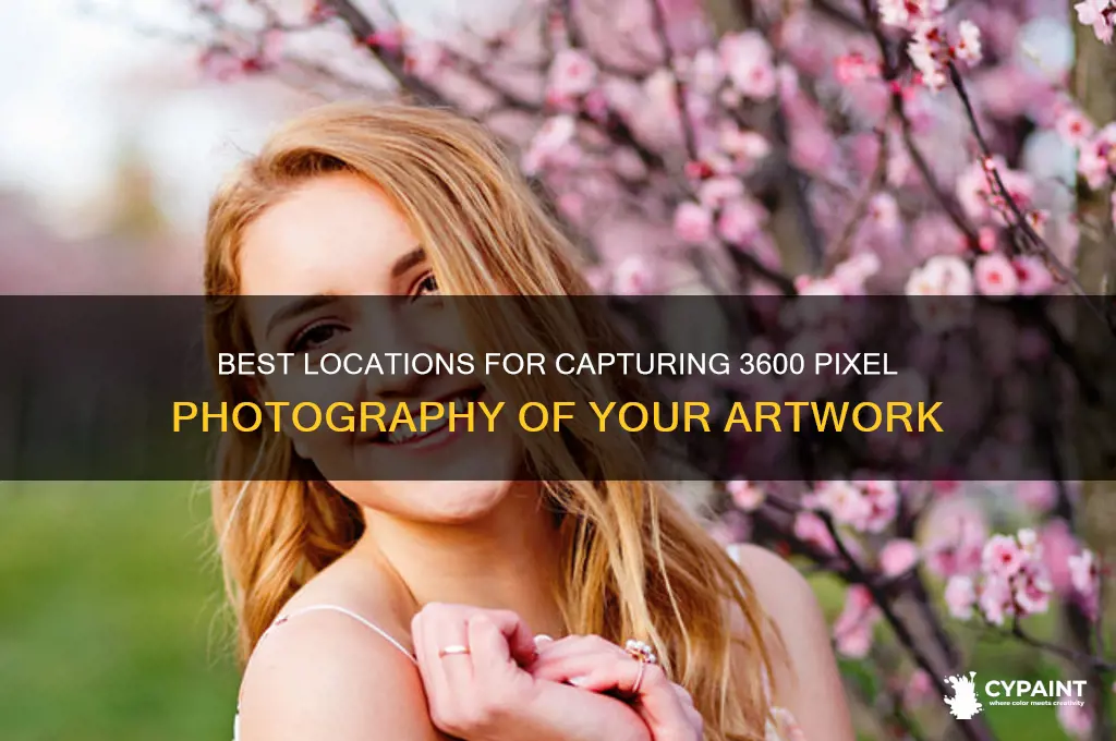 where to take 3600 pixel photography of your painting
