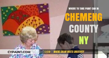 Chemung County NY Paint Can Disposal: Your Complete Guide