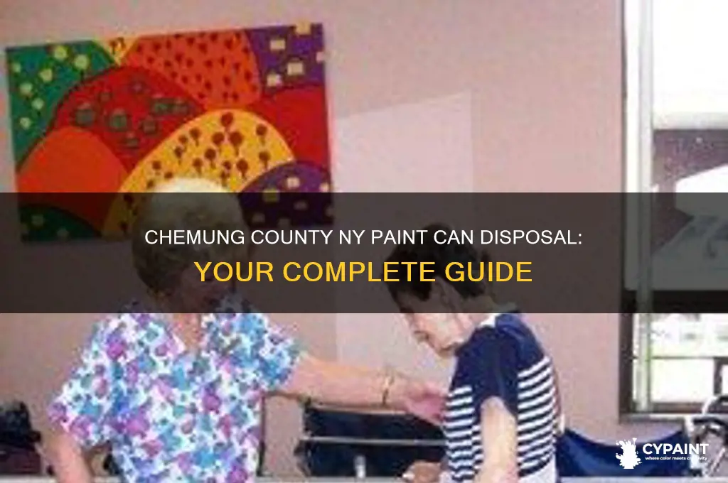 where to take paint can in chemeng county ny