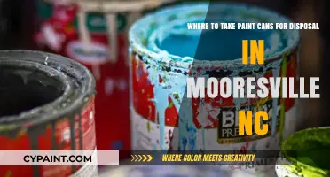 Eco-Friendly Disposal: Where to Take Paint Cans in Mooresville, NC
