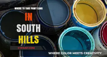 Eco-Friendly Disposal: Where to Take Paint Cans in South Hills