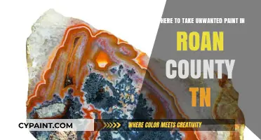Dispose of Unwanted Paint Responsibly in Roan County, TN: A Guide