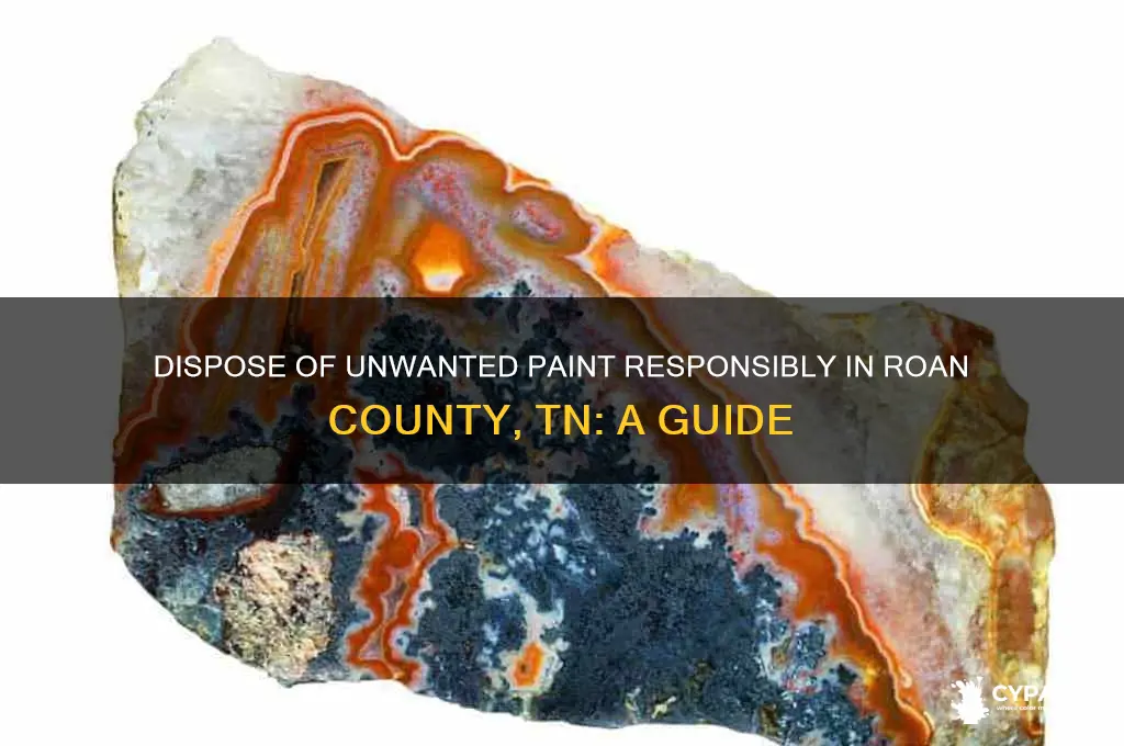 where to take unwanted paint in roan county tn
