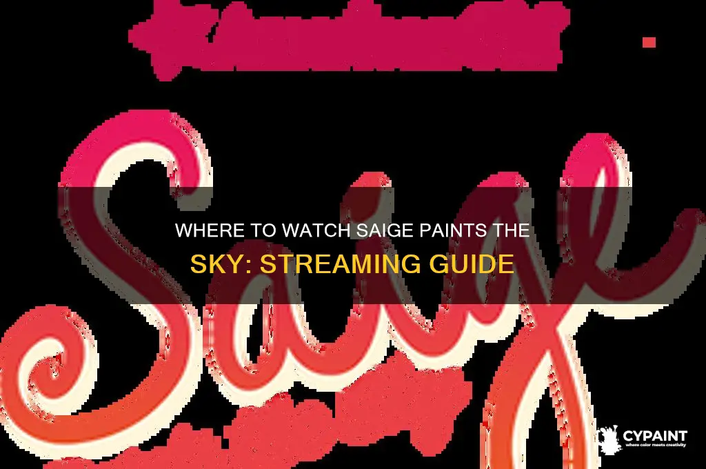 where to watch saige paints the sky