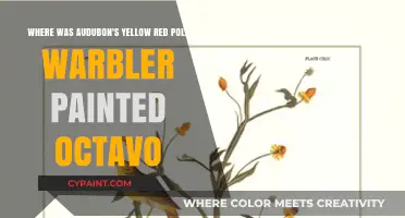 Unveiling Audubon's Yellow-Red Poll Warbler: A Journey Through Octavo