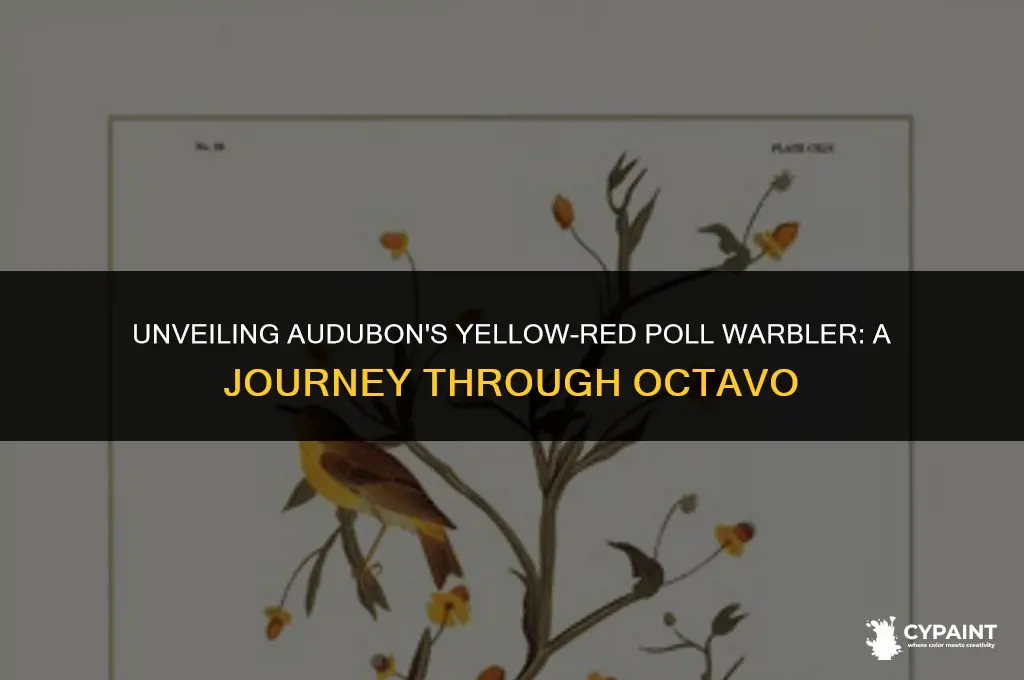 where was audubon