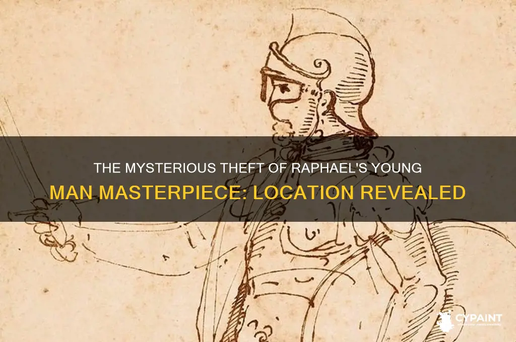 where was raphaels painting of young man stolen from