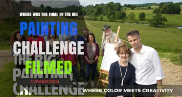 Unveiling the Masterpiece: Inside the Grand Finale of the Big Painting Challenge