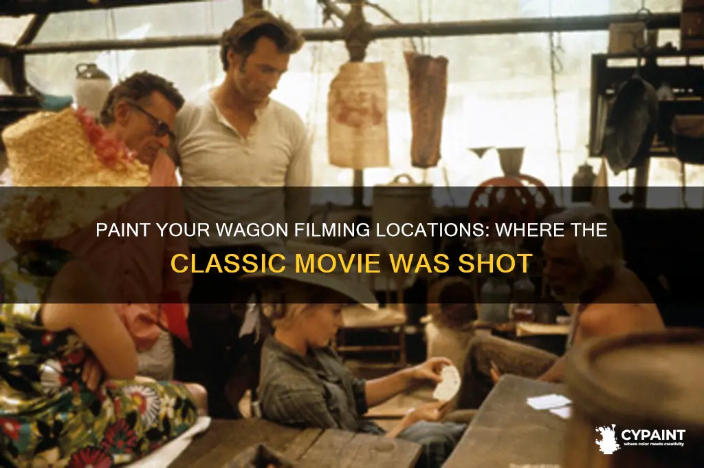 where was the movie paint your wagon filmed