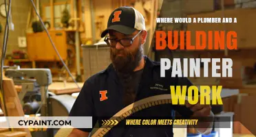 Plumber and Painter Work Sites: Exploring Their Diverse Job Locations