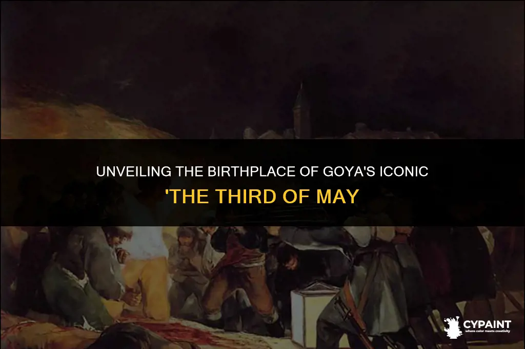 where wsa the francisco goya