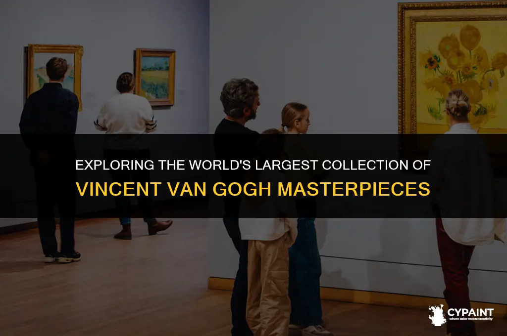 which art gallery has the most vincent van gogh paintings